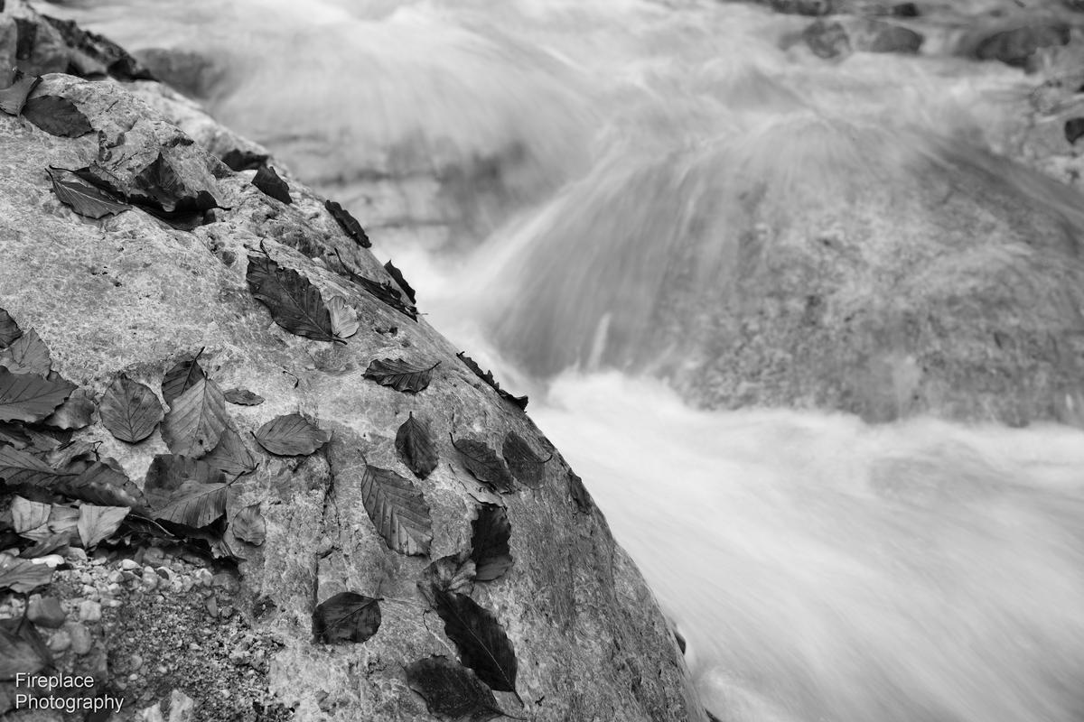 DSC_1569 smaller.JPG