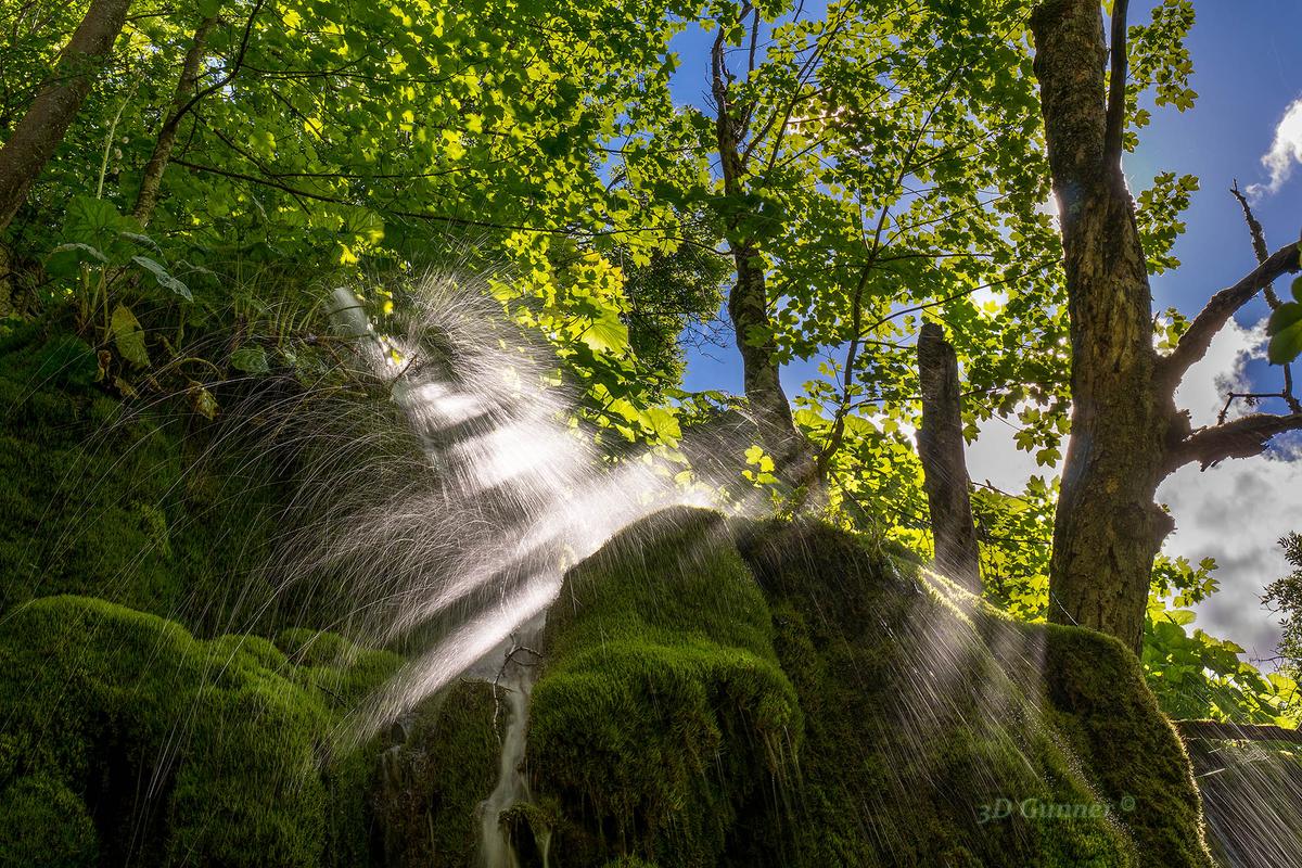 Sun Rays-1.jpg