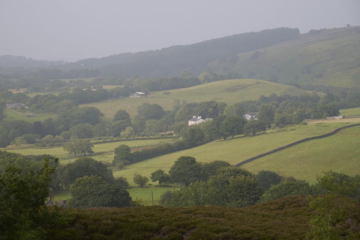 DSC_6144.jpg