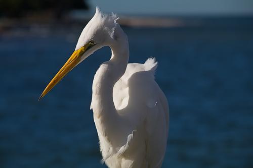 IMG_8586.jpg