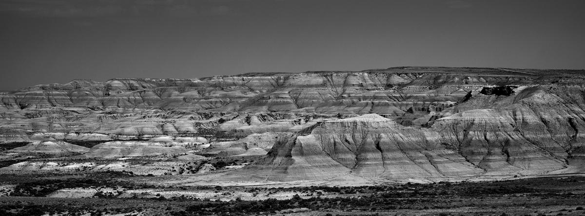 Wild Horse_NZ82439-20240719-000187.jpg