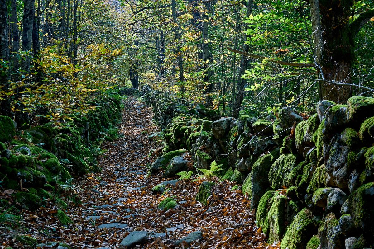 8DS_1593_HDR.jpg