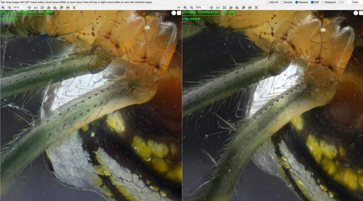Screenshot 2025-06-25 074519.jpg
