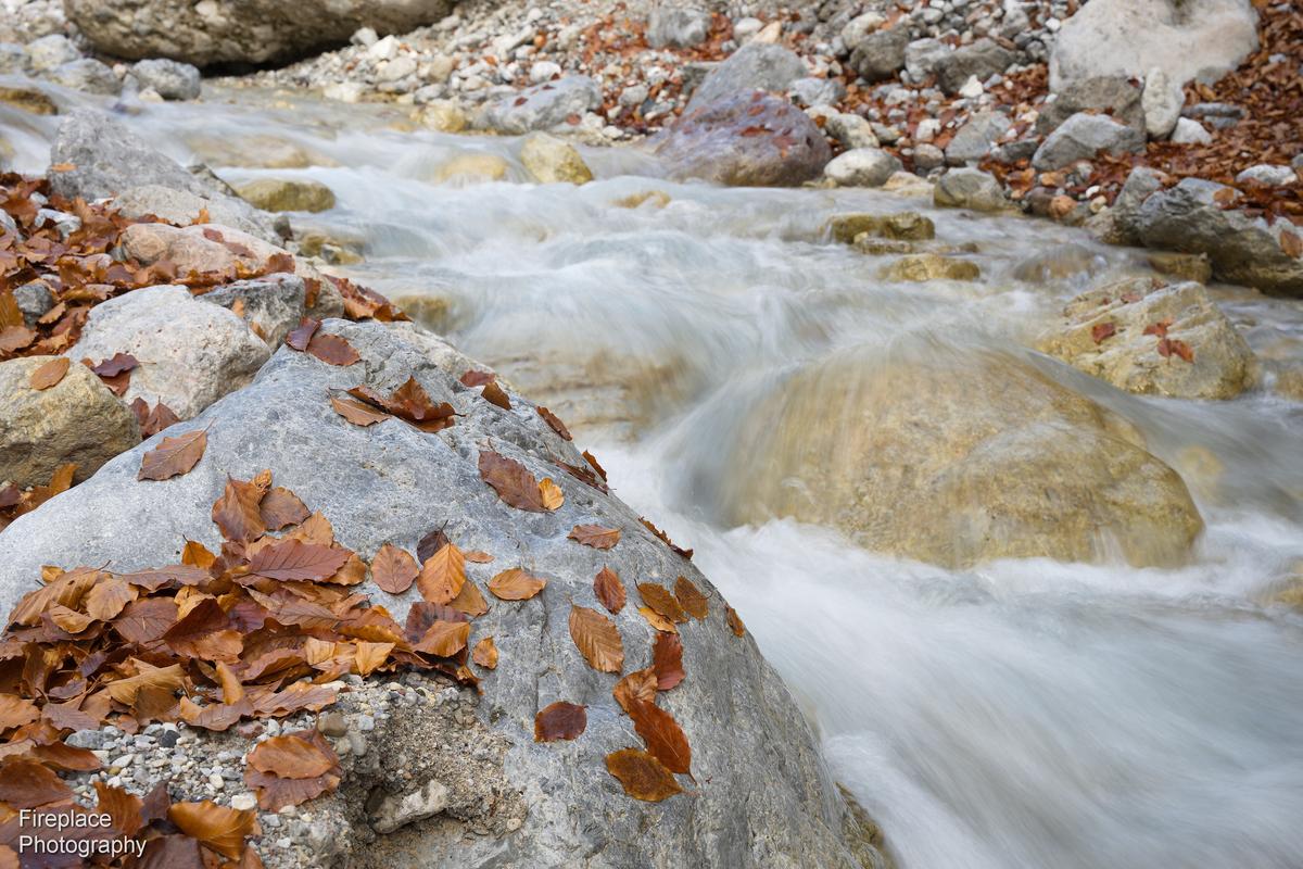 DSC_1560 smaller.JPG