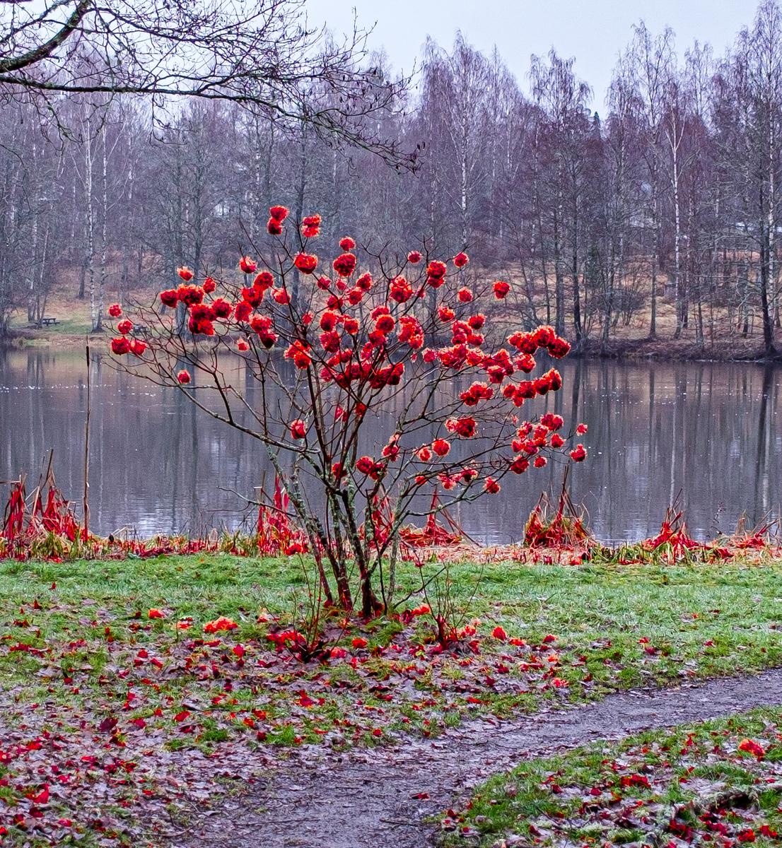 _DSF1493 edit 39-1.jpg