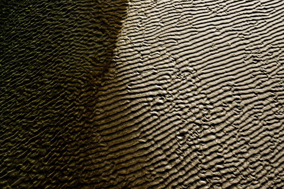 Tide-Pool.jpg