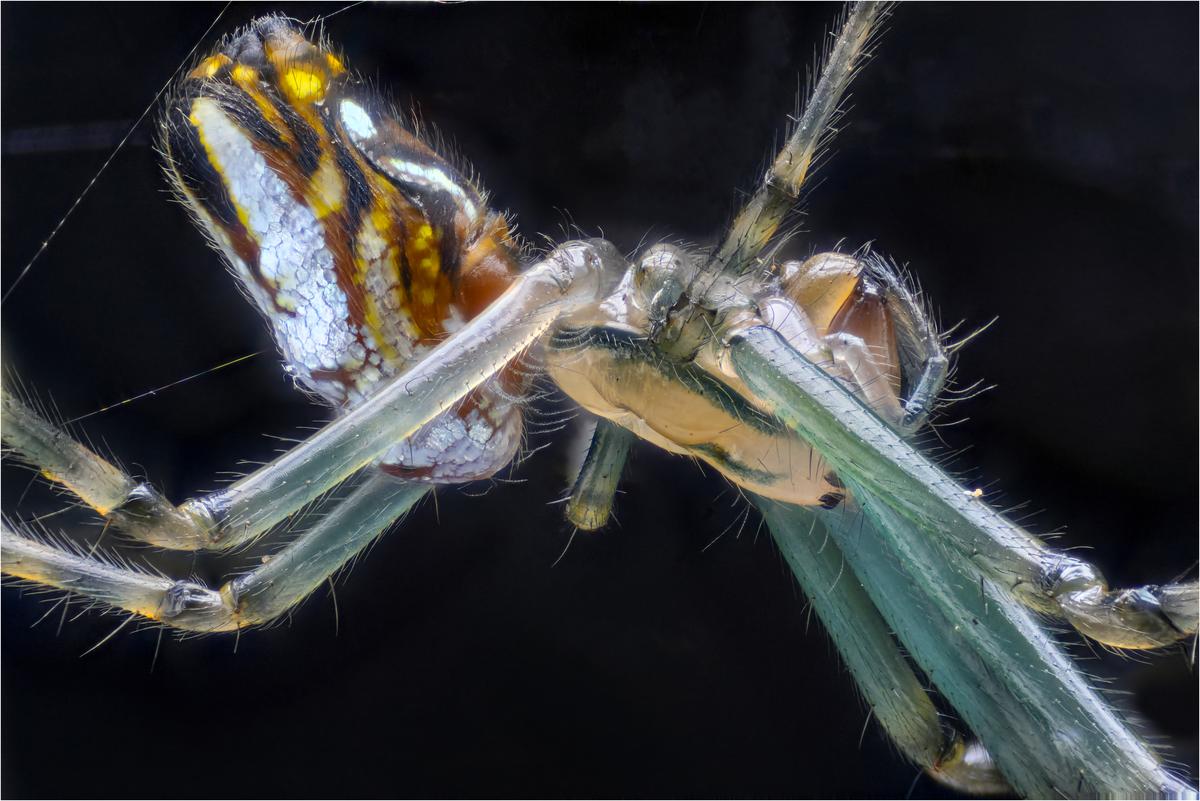 2025-07-07-14.39.25 ZS PMax copy.jpg