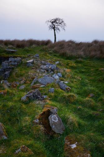 DSC_3617.jpg