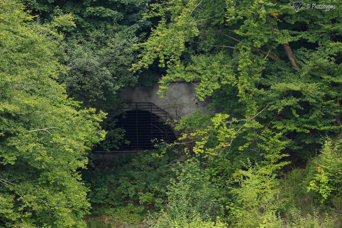 62A_5737.jpg
