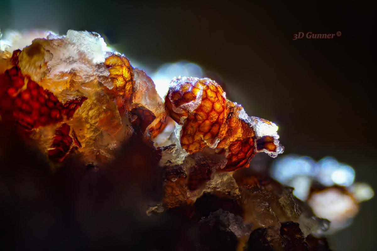 For Christmas 2025.jpg