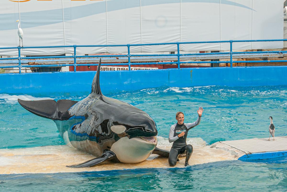 Miami Seaquarium 060916-52.jpg