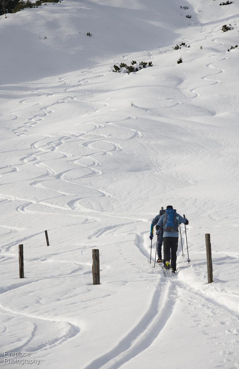 DSC_2417 smaller.JPG