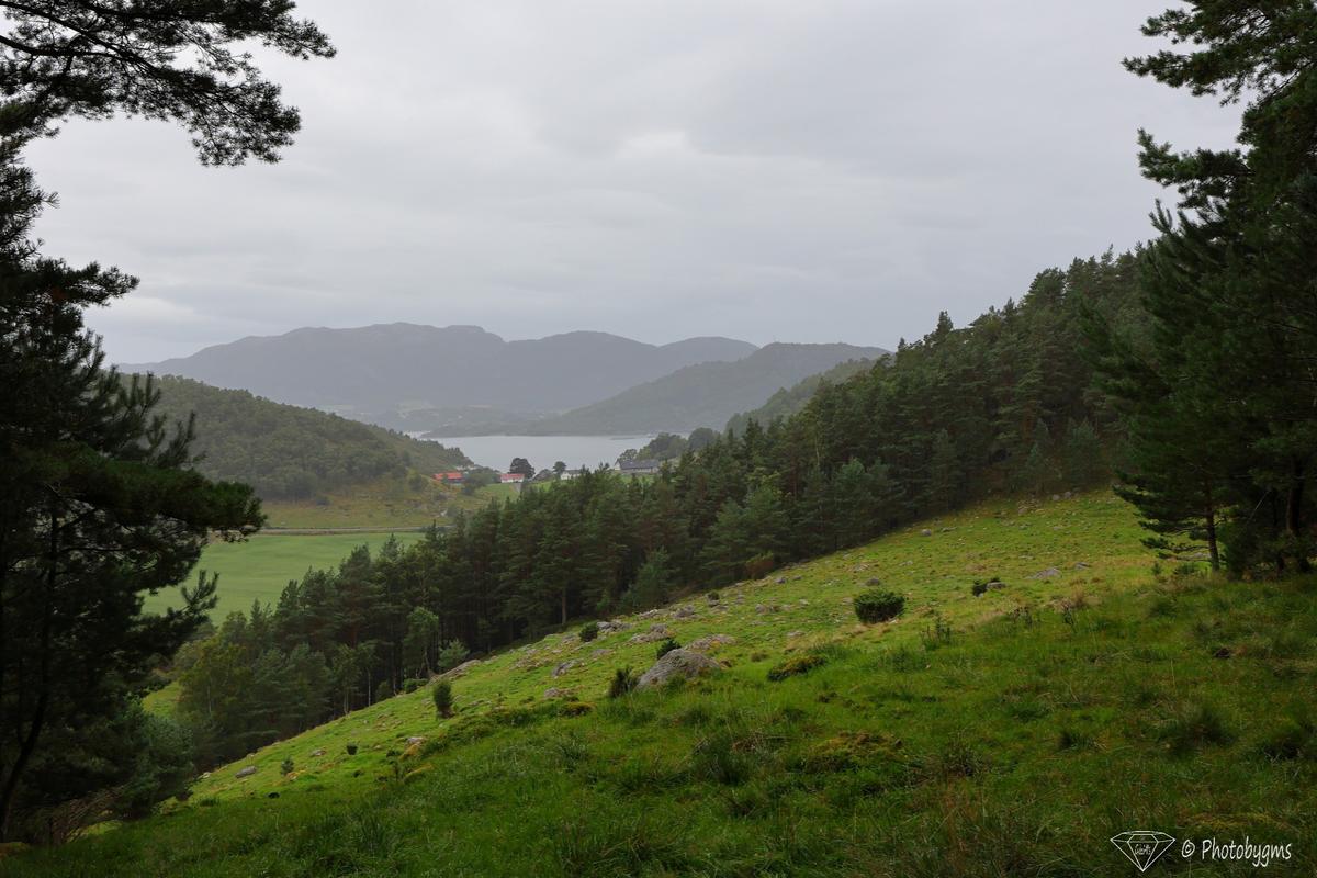 62A_9363.jpg