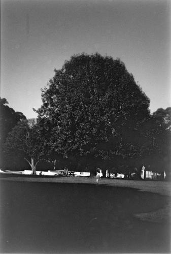 film -710nm.jpg