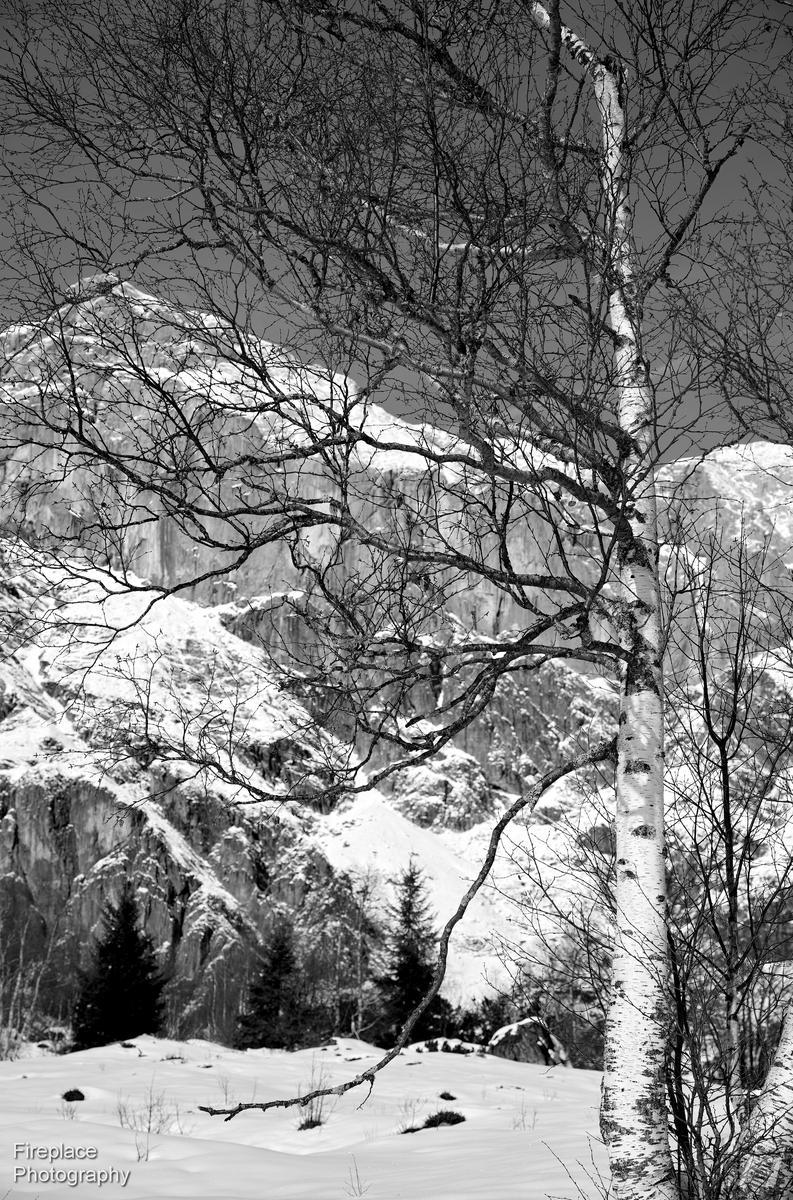 DSC_1948 smaller.JPG