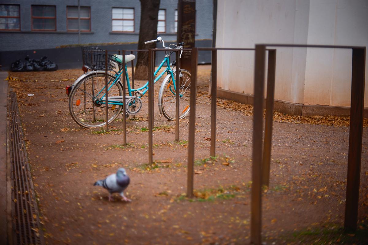 AC_Petri_Orikkor_4-5cm_897 Kopie.jpg