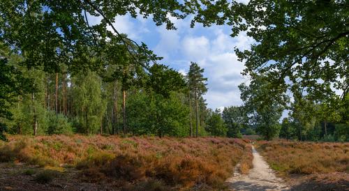 22-08-20-Elst-DPRe.jpg