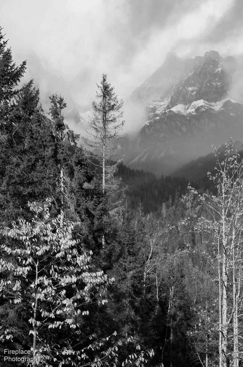 DSC_1714 d B&W smaller.JPG