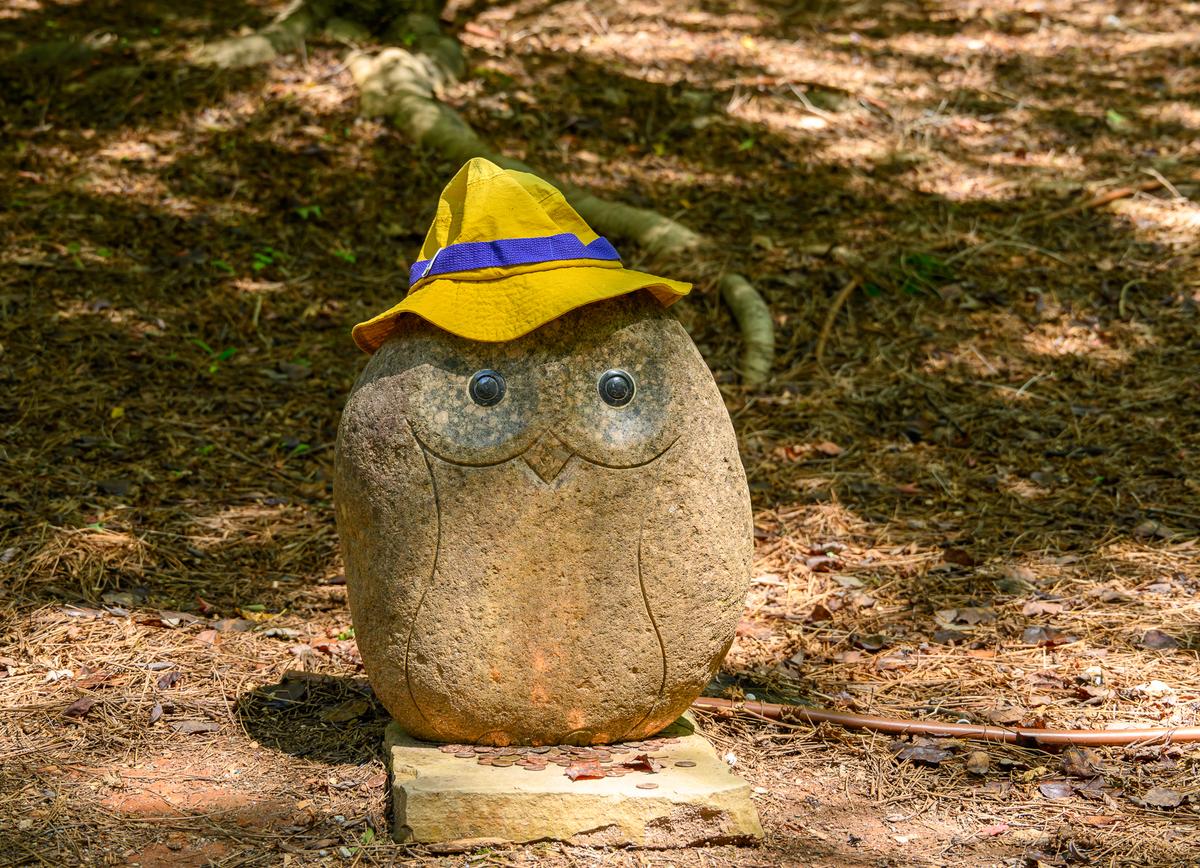 Little begger-1.jpg