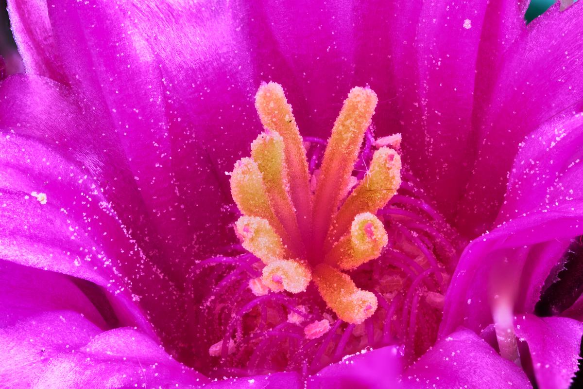 2026-04-17 16-53-08 (B,R5,S5)_3.jpg