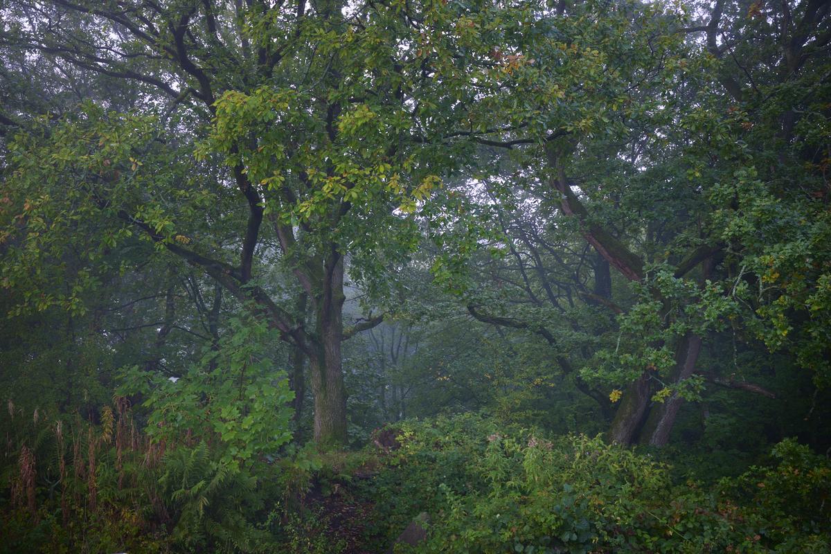 DSC_7551.jpg