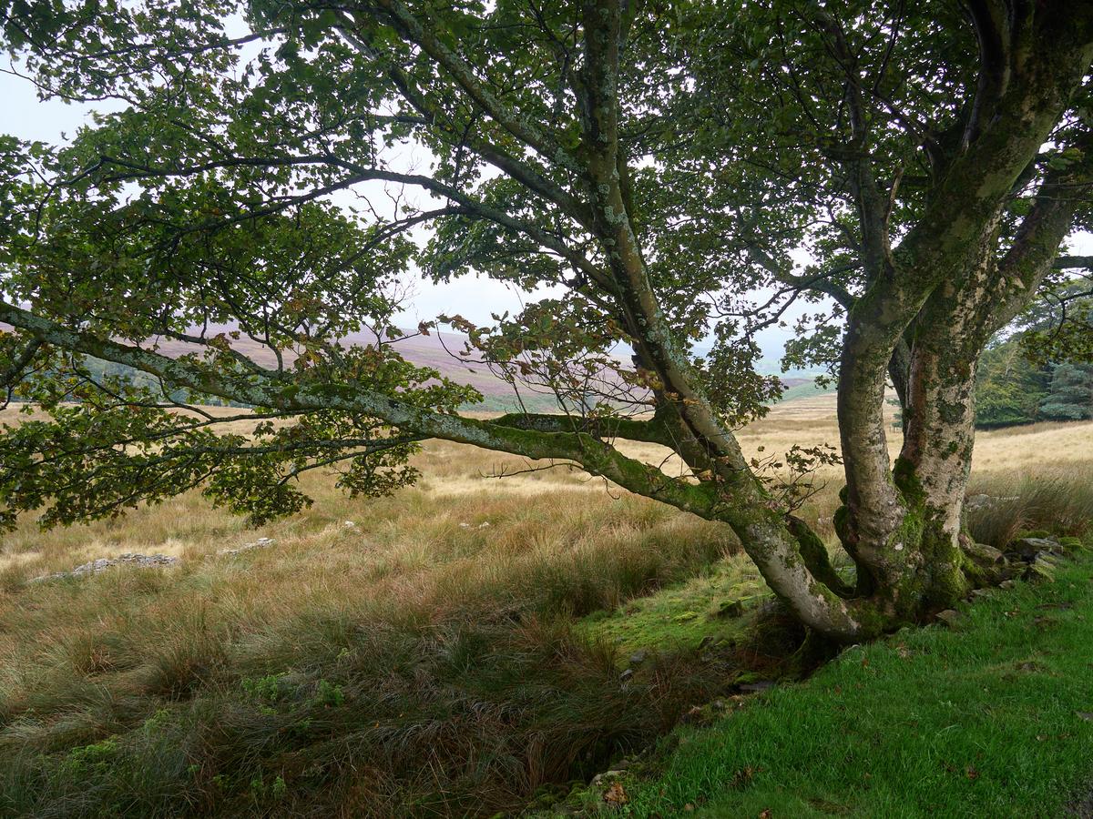 P9020190.jpg