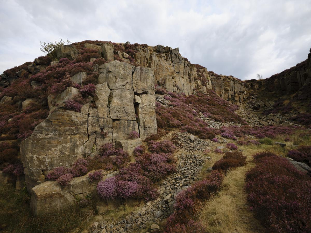 DSCF3374.jpg