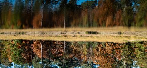 Autumn Walk by RoelH pano & flip - WLK-2024102-P1120495-RoelH-LR13-sRGB.jpg