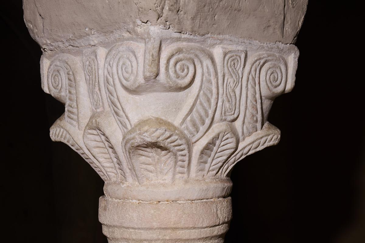 8DS_1826.jpg