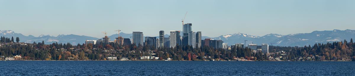 bellevue-pano-2-60-crop.jpg