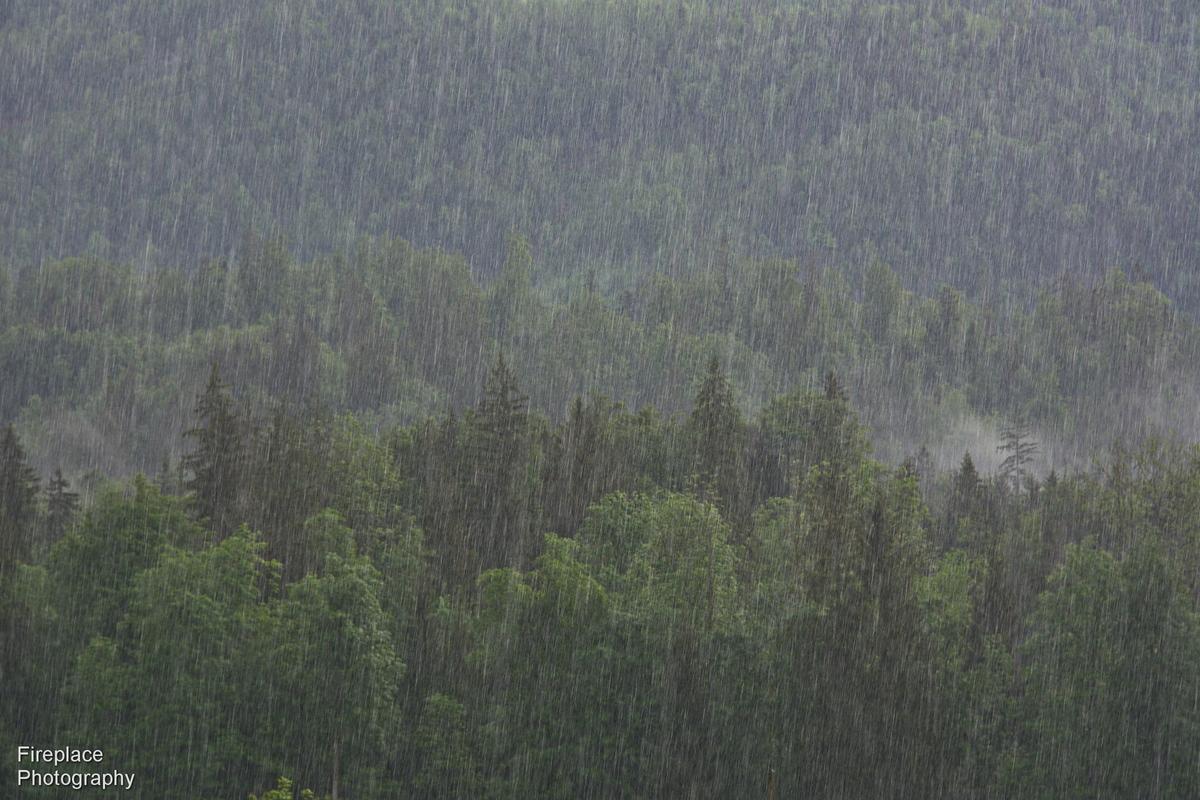 DSC_7753 d smaller.JPG