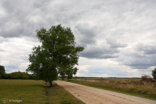 62B_2350.jpg