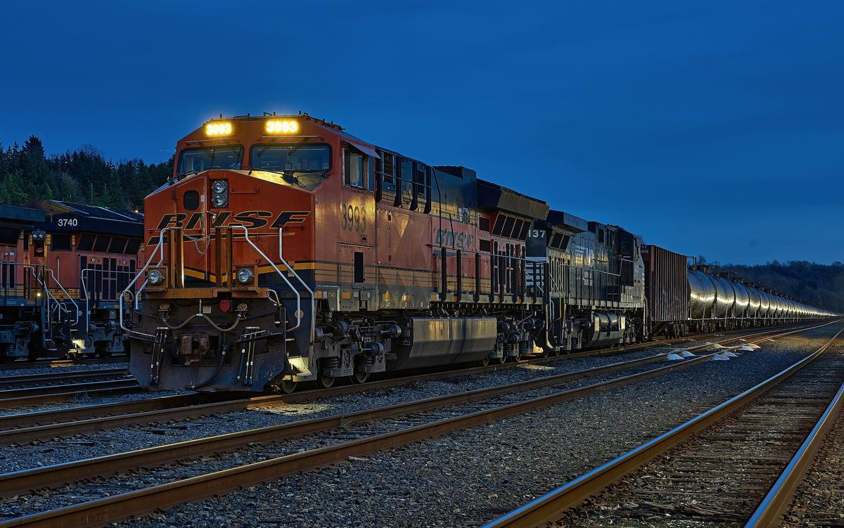 BNSF-3993-small-crop2.jpg