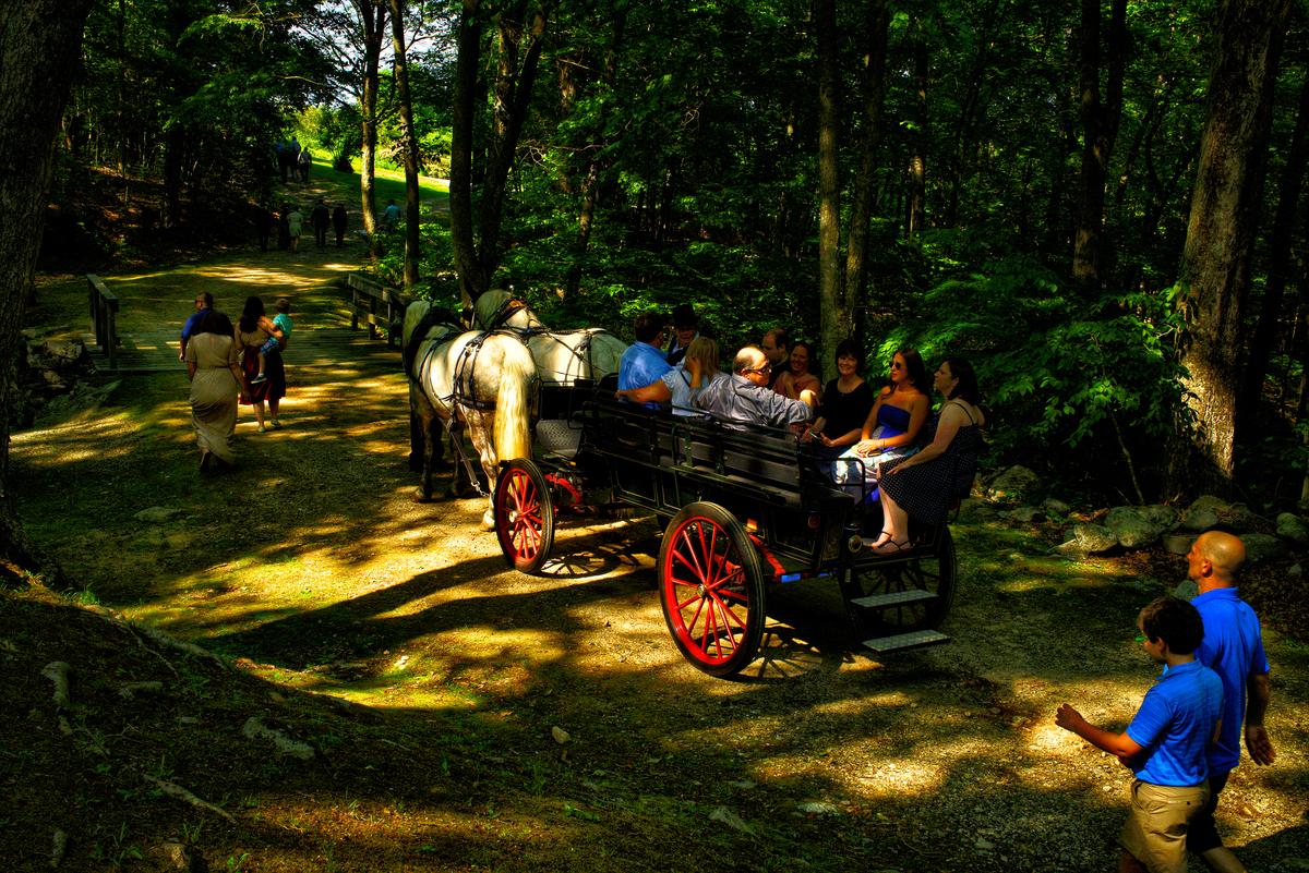 ForestWedding2.jpg