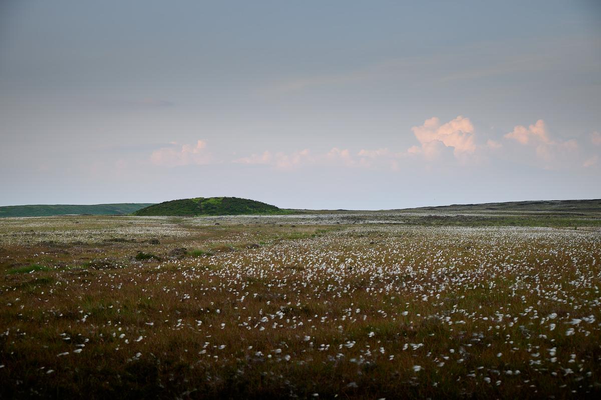 DSC_5566.jpg