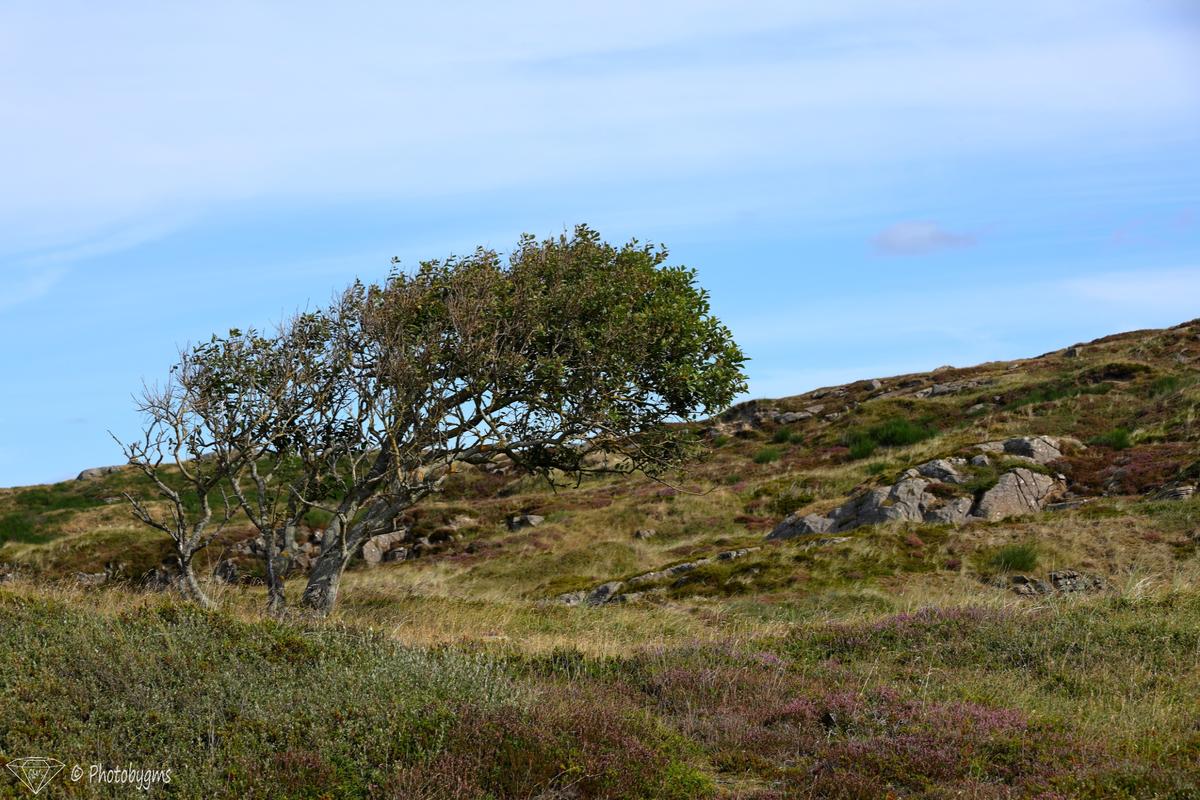 62A_9770.jpg