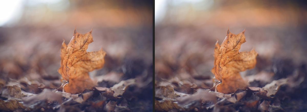 Proiectar_50mm_089_Crossview.jpg