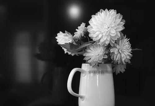 flowers_bw.jpg