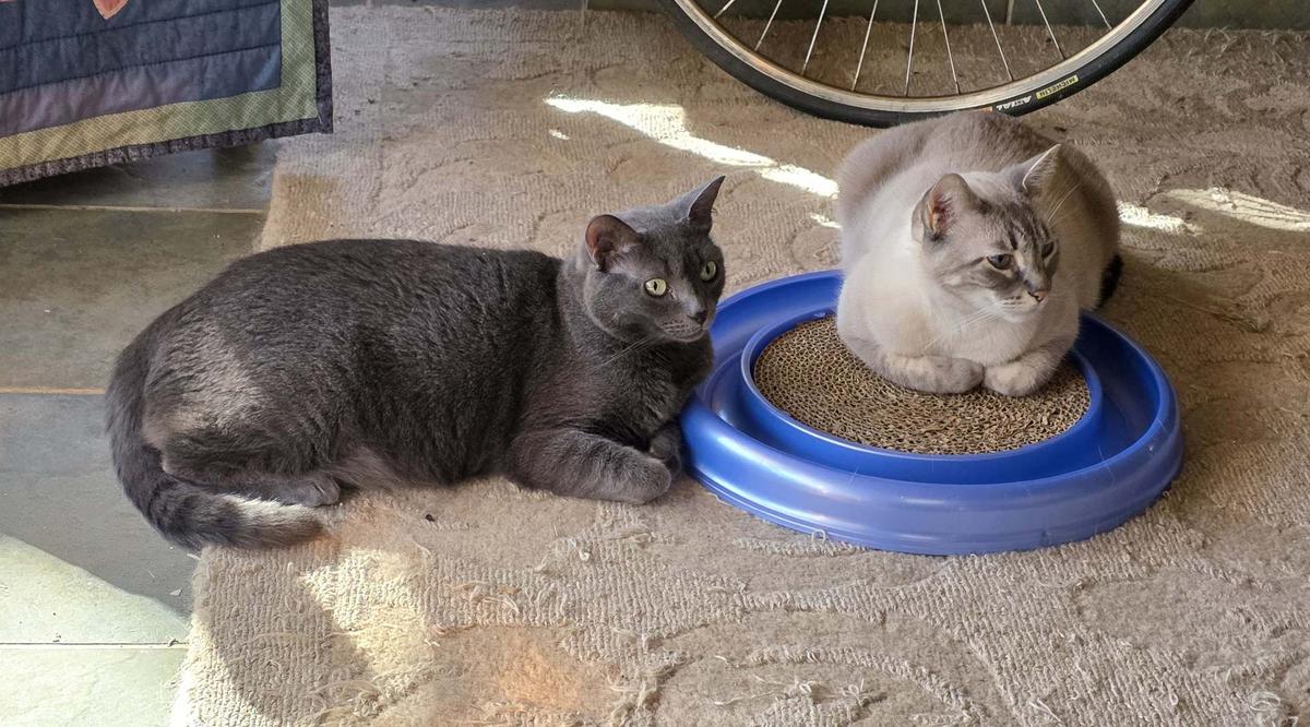 Lexi and Arni sharing small.jpg