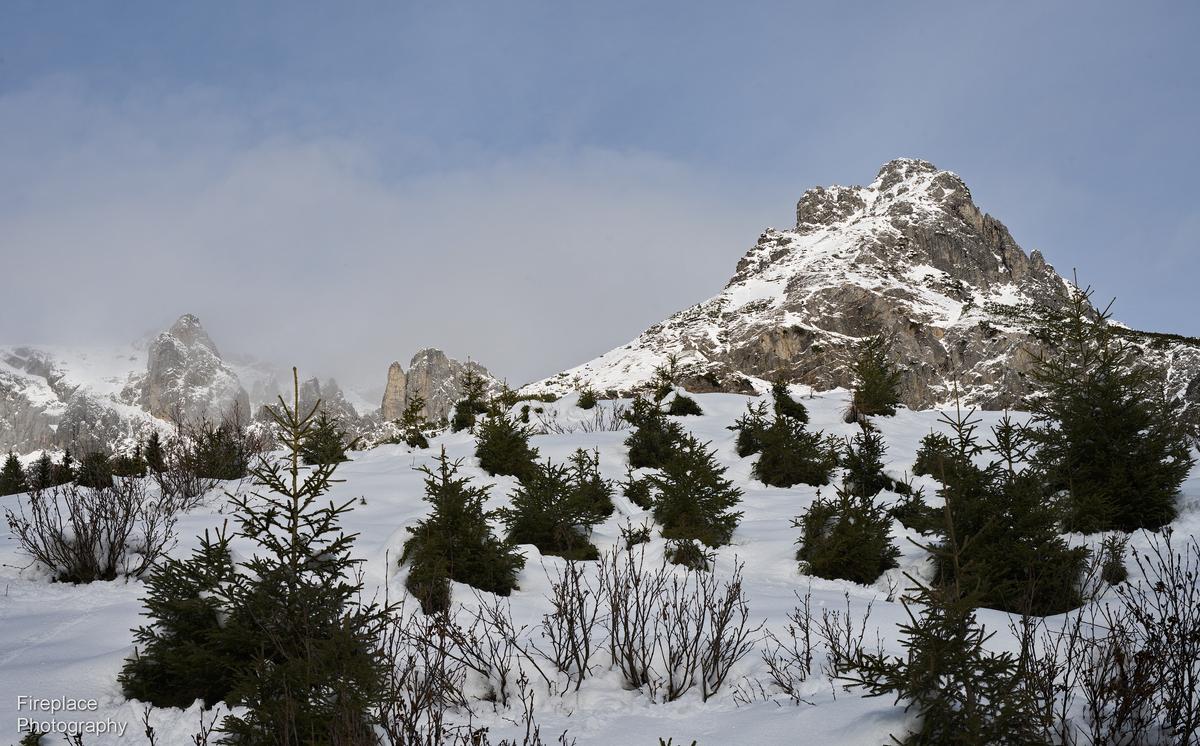 DSC_1884 smaller.JPG