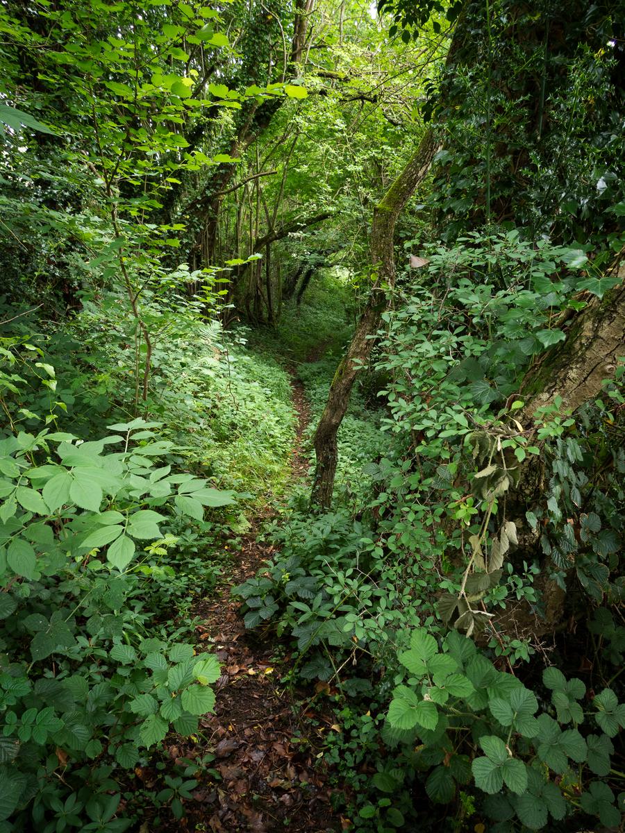P6265143.jpg