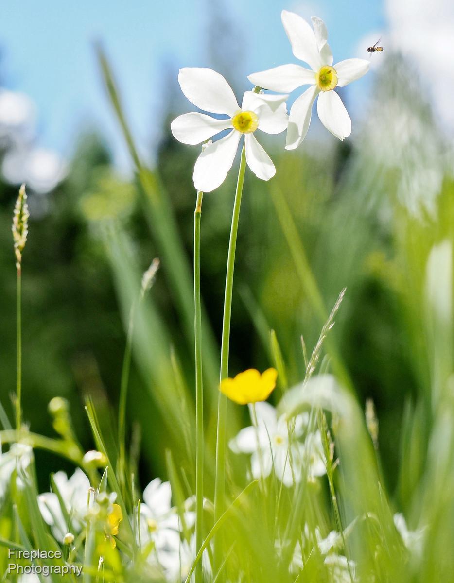 P6010787 smaller.JPG