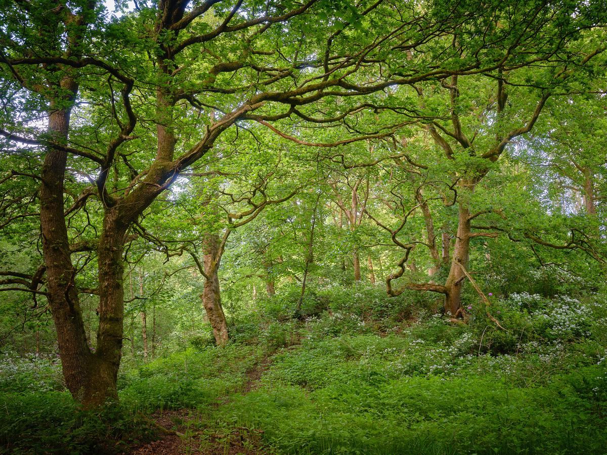 DSCF3184 1.jpg
