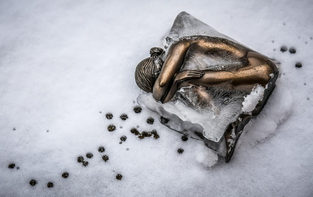 The perfect crime.jpg