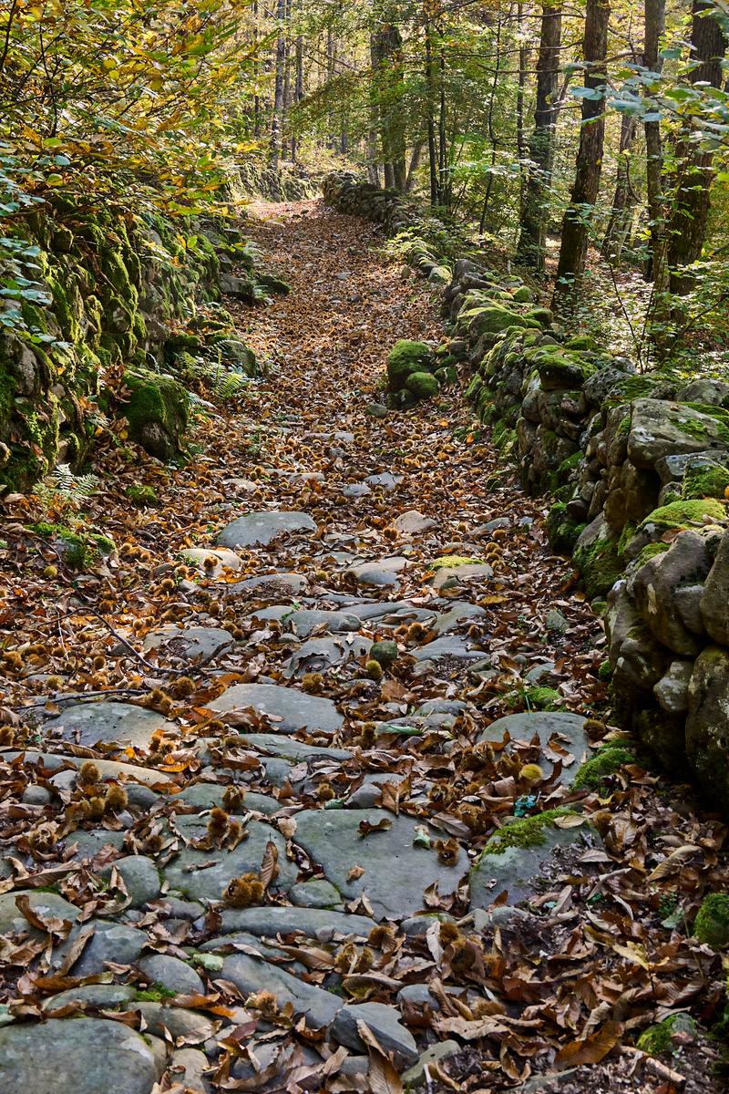 8DS_1677_HDR.jpg