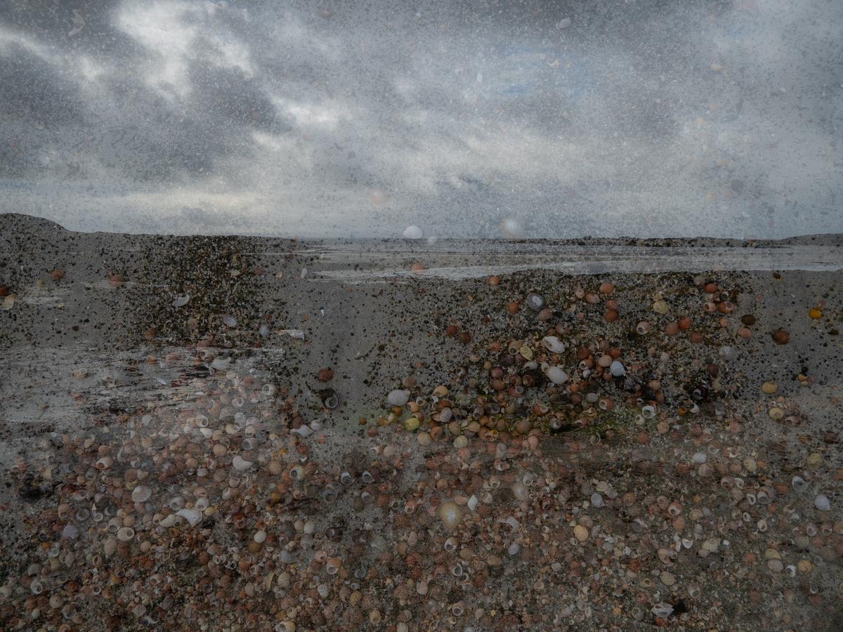 P9157295.jpg