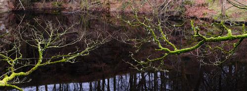 DSCF6823.jpg