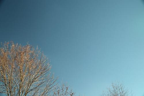 img_left tutn_0533.JPG