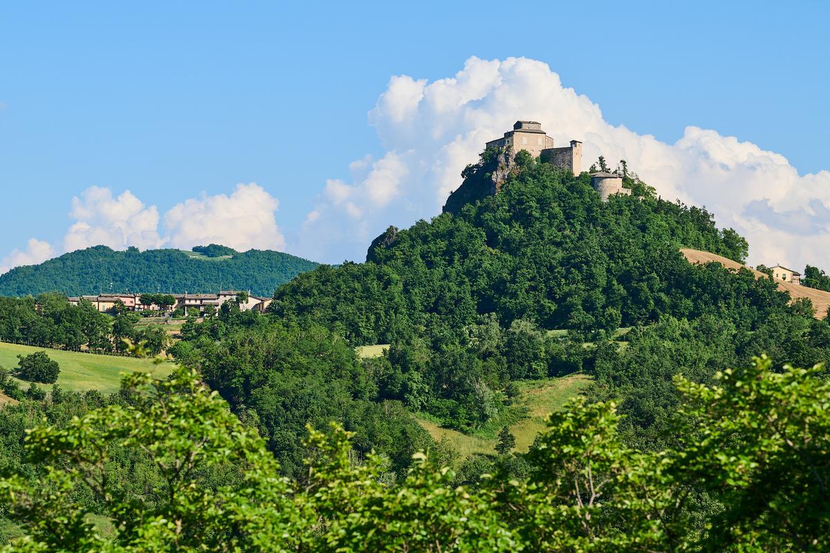 8DS_6573.jpg