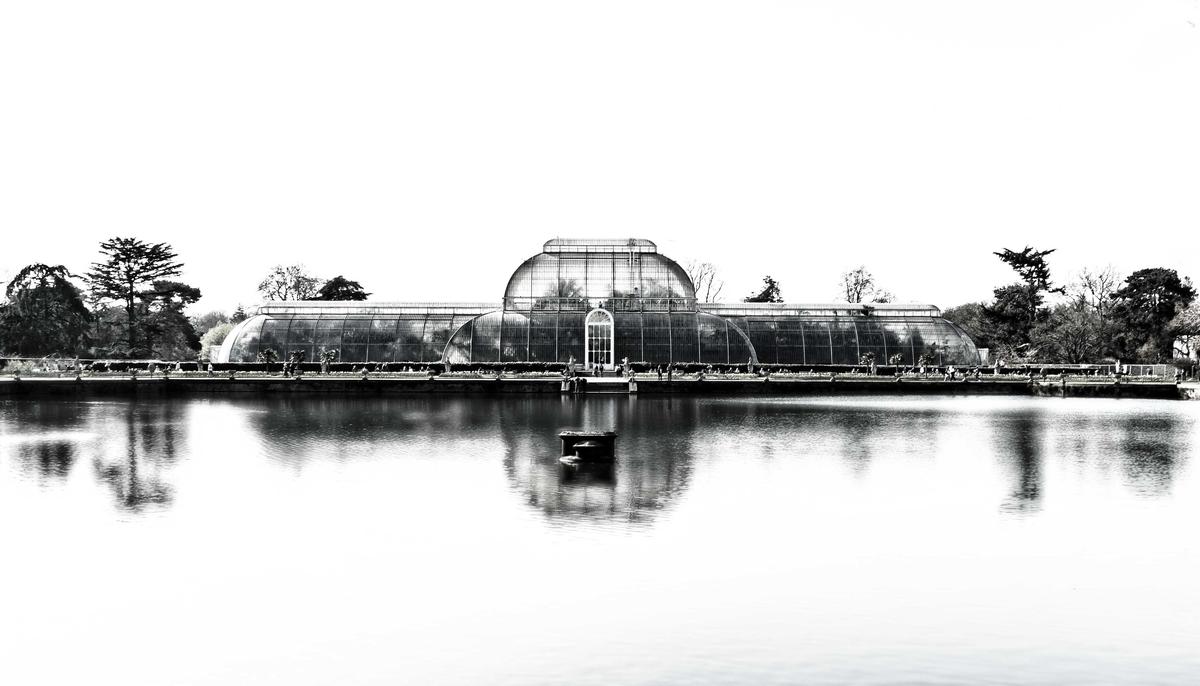 Art House Palm House.jpg